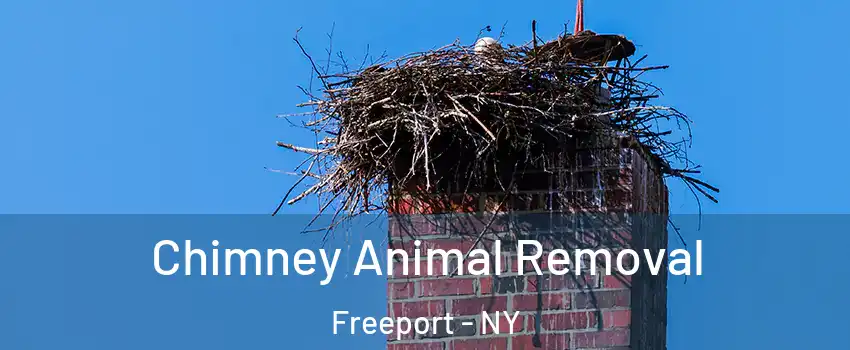 Chimney Animal Removal Freeport - NY