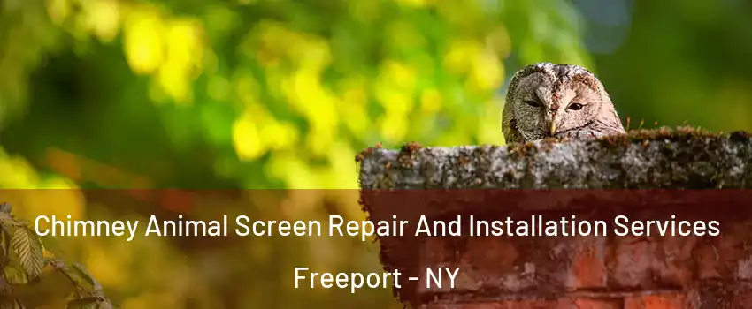  Chimney Animal Screen Repair And Installation Services Freeport - NY