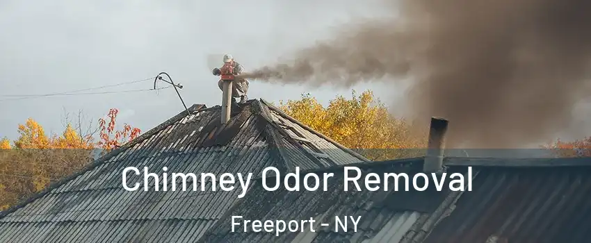  Chimney Odor Removal Freeport - NY