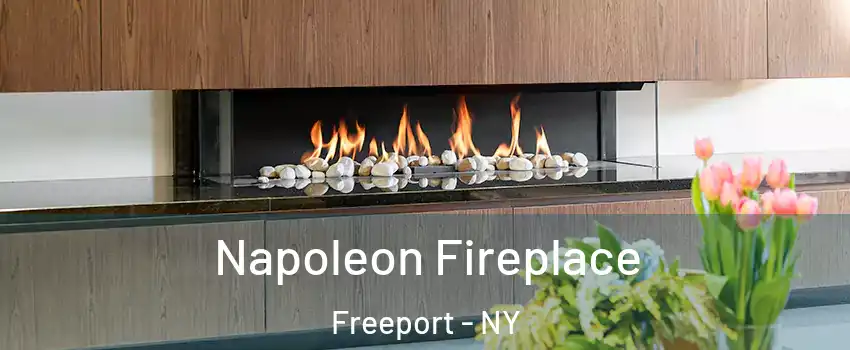  Napoleon Fireplace Freeport - NY
